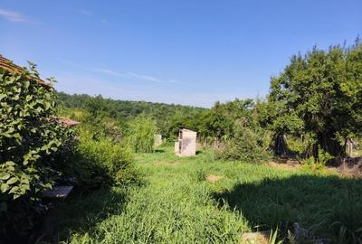 Casa P+M la gri de vanzare - Rasova, comuna Balesti - 9