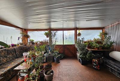 Casă individuală 7 camere, P+E+M, 2000, Timișoara, zona Dâmbovița, comision 0% - 30