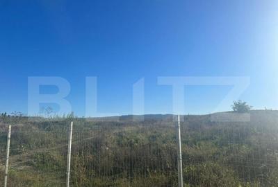 Teren de 11100 mp, în Sopor - 2