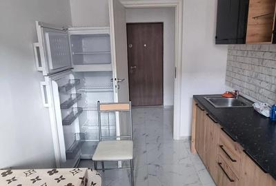 Apartament cu 2 camere decomandat în Dobroești - 5