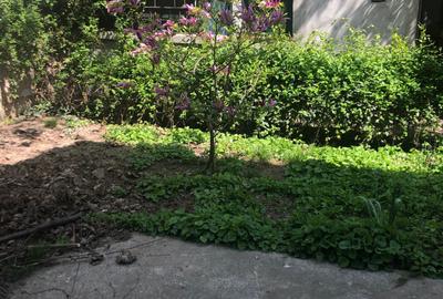 Casă individuală cu 2 camere cu Canalizare în Ștefan cel Mare - 11