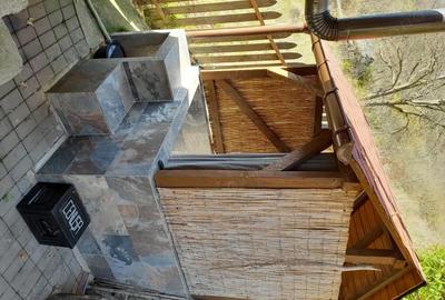 Casă cu 2 camere în Lăpuștești - 5