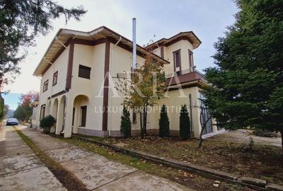 VANZARE VILA | HALA IN VLADICEASCA | SNAGOV | 10.500 MP TEREN - 5