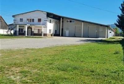 Hala multifunctionala de vanzare, Prejmer, Brasov - 10