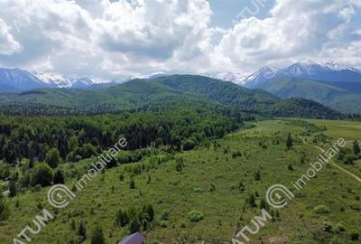 Teren 1000 mp Intravilan in Avrig zona turistica Valea Avrigului - 5
