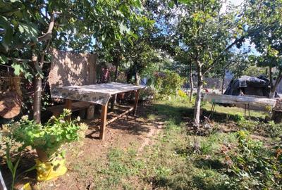 Casa rustica cu traditie -  P+M  - constructie BCA -teren 506mp -159.000 Euro - 47