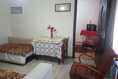 Apartament cu 2 camere nedecomandat, mobilat în Central - 2