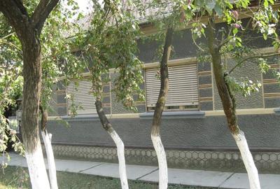 Casă individuală cu 5 camere cu Teren 1440 Mp în Central - 7