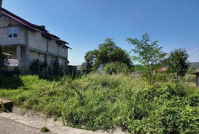 TEREN INVESTITIE ARGES - LANGA CURTEA DE ARGES TEREN INVESTITIE ARGES - LANGA CURTEA DE ARGES - 5