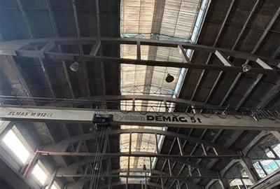 Spațiu industrial, de 17,500 mp, în Zona Liberă - 11