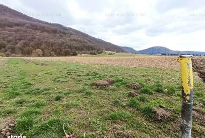Teren de 16500 mp, în Bartolomeu