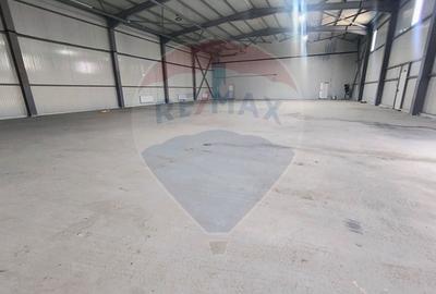 Spațiu industrial, de 800 mp, în Central - 16