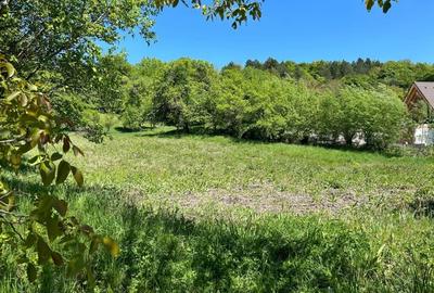 Teren Construcții intravilan de 4300 mp, în Popești - 1