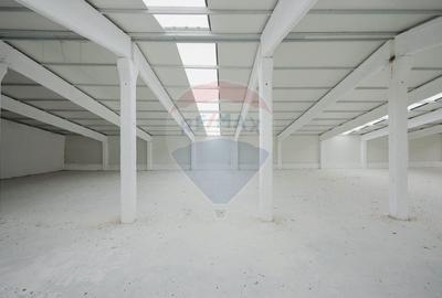 De vânzare – 2 hale industriale, 5.050 mp utili, Palota - 7