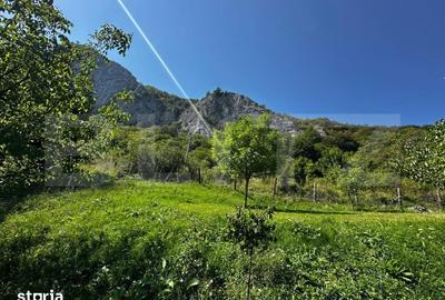 Teren de 1800 mp, în Sălciua - 3
