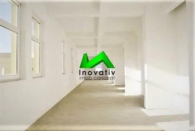 Hale de inchiriat depozitare productie Sibiu Cisnadie - 3