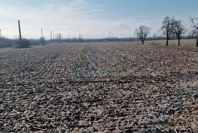 Casă cu 3 camere în Brădești - 12