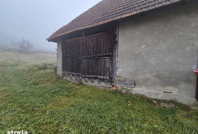 Casă cu 3 camere cu Teren 2800 Mp în Sânmihaiu Almașului - 3