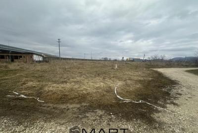 Teren în Central - 4