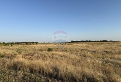 Teren Construcții intravilan de 48000 mp, în Exterior Est - 3