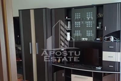 Apartament cu 2 camere nedecomandat, mobilat în Șagului - 3