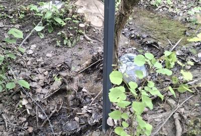 Teren de 900 mp, în Mogoșoaia - 3