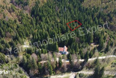 Teren de 983 mp, în Nucșoara - 5