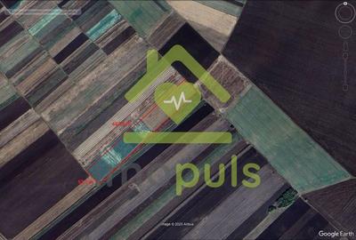 ? Teren extravilan la Pesac de 3,4 ha (1,4 euro/mp)? - 4