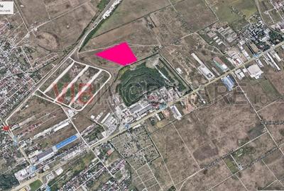 Mogosoaia - Ciupercarie, teren extravilan, suprafata 70.000 mp - 2