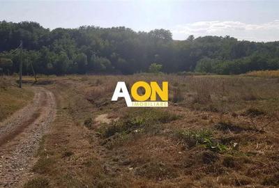 Teren intravilan Teleac cu toate utilitatile Teren intravilan Teleac cu toate utilitatile - 3