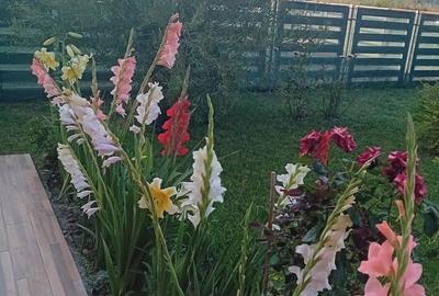 Casă cu 4 camere în Mihail Kogălniceanu - 7