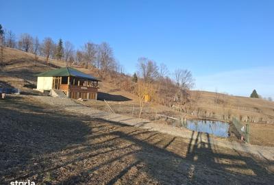 Casă cu 1 camere cu Teren 12000 Mp în Central - 6