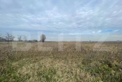 Teren de 5792 mp, în Popoveni - 1