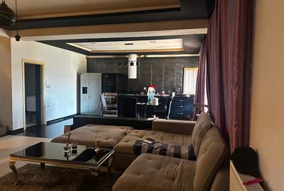 Vând vilă lux  zona Theodor Pallady 300 m utili - 2