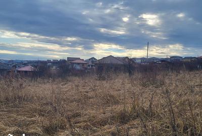 Teren de 2381 mp, în Paleu