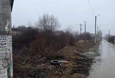 2 loturi 1000 mp Strada Pinului - 1 Decembrie - 3