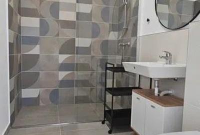 Apartament cu 2 camere semidecomandat în Dumbrăvița - 3