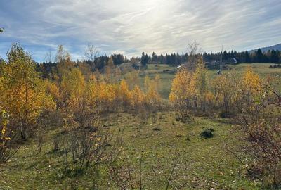 Teren de 4488 mp, în Beliș - 2