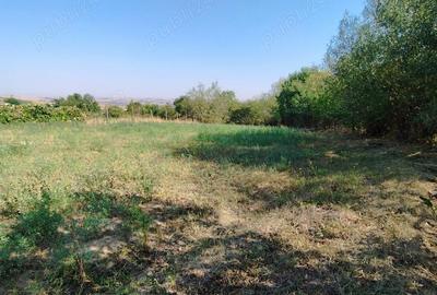 Teren de 1700 mp, în Fălticeni - 3