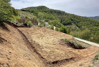 Spațiu comercial, în Plopi - 7