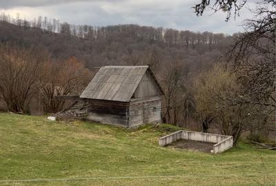 Casă cu 2 camere în Anghelești - 1