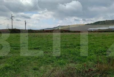 Teren de 2877 mp, în Jucu - 1