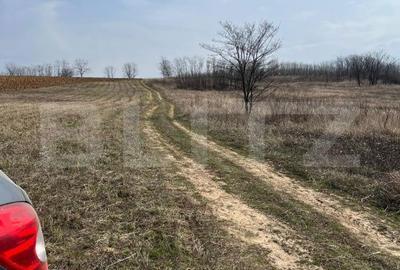 Spațiu comercial, în Paleu - 6