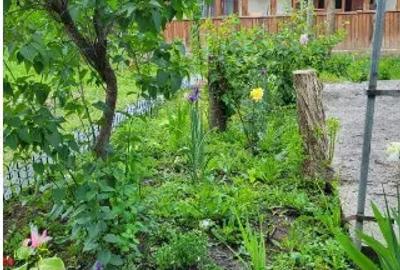 Teren cu doua corpuri casa - 35500 eur - 9