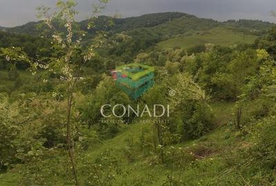 Teren de 800 mp, în Central - 13