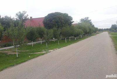 Casa de vanzare - 6
