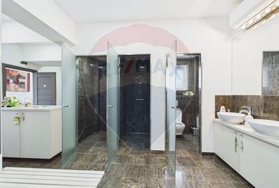 Proprietate specială, de 608 mp, în Mogoșoaia - 27