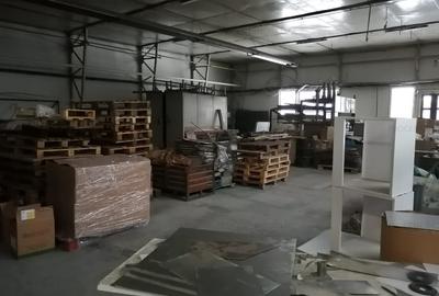Hala Industriala - 6