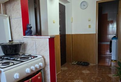 Apartament 3 camere in Deva, zona Minerului - 8