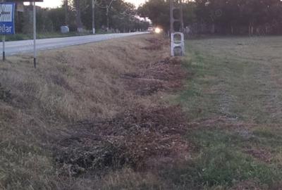 Spațiu comercial, în Cărpiniș - 11